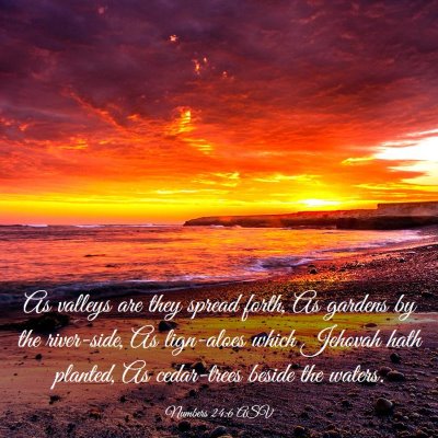 Picture 03 - Numbers 24:6 ASV - As valleys are they spread forth, As gardens by - Bible Verse Picture