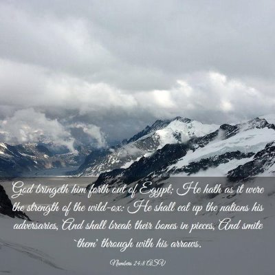 Picture 03 - Numbers 24:8 ASV - God bringeth him forth out of Egypt; He hath as - Bible Verse Picture
