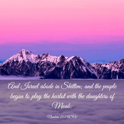 Picture 03 - Numbers 25:1 ASV - And Israel abode in Shittim; and the people began - Bible Verse Picture