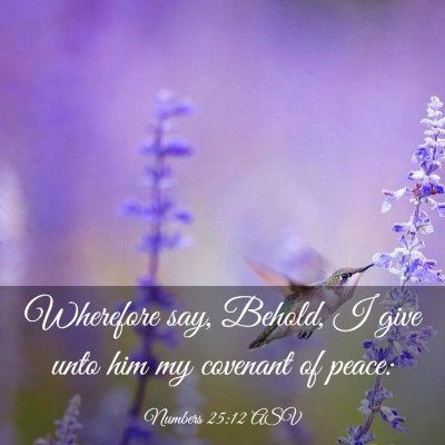 Picture 03 - Numbers 25:12 ASV - Wherefore say, Behold, I give unto him my - Bible Verse Picture