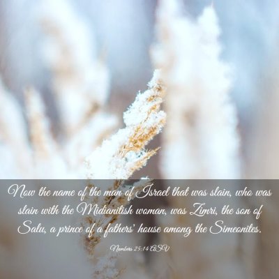 Picture 03 - Numbers 25:14 ASV - Now the name of the man of Israel that was slain, - Bible Verse Picture