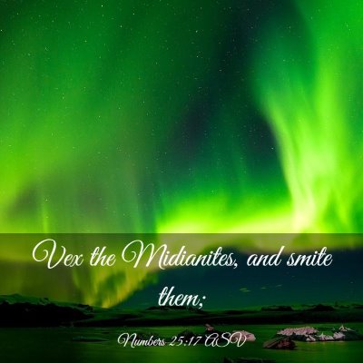 Picture 03 - Numbers 25:17 ASV - Vex the Midianites, and smite - Bible Verse Picture