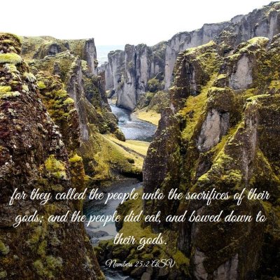 Picture 03 - Numbers 25:2 ASV - for they called the people unto the sacrifices of - Bible Verse Picture
