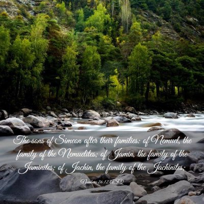 Picture 03 - Numbers 26:12 ASV - The sons of Simeon after their families: of - Bible Verse Picture