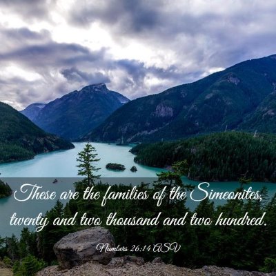 Picture 03 - Numbers 26:14 ASV - These are the families of the Simeonites, twenty - Bible Verse Picture