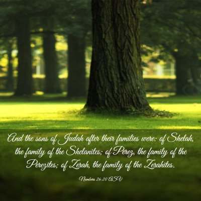 Picture 03 - Numbers 26:20 ASV - And the sons of Judah after their families were: - Bible Verse Picture