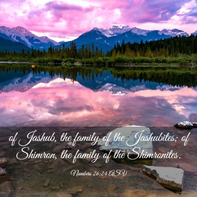 Picture 03 - Numbers 26:24 ASV - of Jashub, the family of the Jashubites; of - Bible Verse Picture