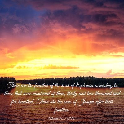 Picture 03 - Numbers 26:37 ASV - These are the families of the sons of Ephraim - Bible Verse Picture