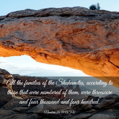 Picture 03 - Numbers 26:43 ASV - All the families of the Shuhamites, according to - Bible Verse Picture