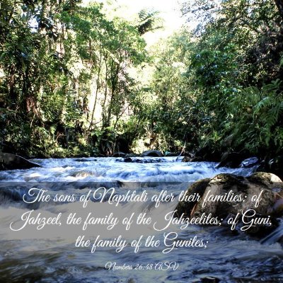 Picture 03 - Numbers 26:48 ASV - The sons of Naphtali after their families: of - Bible Verse Picture