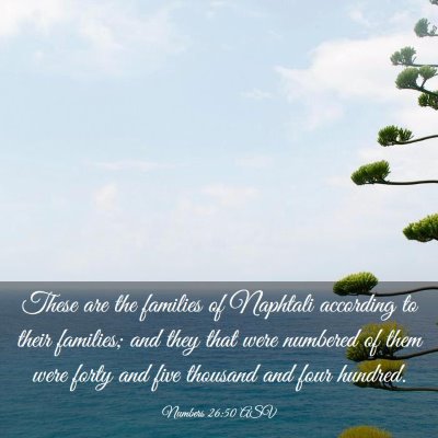 Picture 03 - Numbers 26:50 ASV - These are the families of Naphtali according to - Bible Verse Picture
