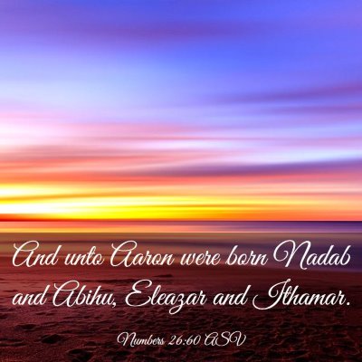Picture 03 - Numbers 26:60 ASV - And unto Aaron were born Nadab and Abihu, Eleazar - Bible Verse Picture
