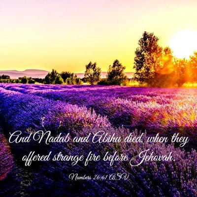 Picture 03 - Numbers 26:61 ASV - And Nadab and Abihu died, when they offered - Bible Verse Picture