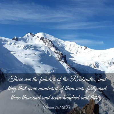 Picture 03 - Numbers 26:7 ASV - These are the families of the Reubenites; and - Bible Verse Picture