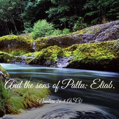 Picture 03 - Numbers 26:8 ASV - And the sons of Pallu: - Bible Verse Picture