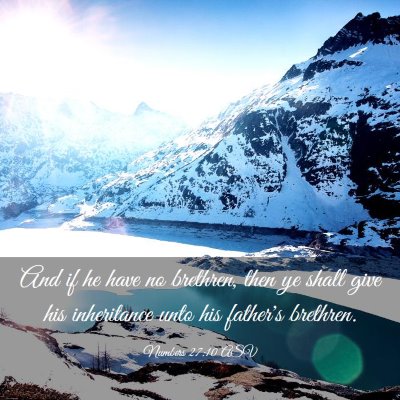 Picture 03 - Numbers 27:10 ASV - And if he have no brethren, then ye shall give - Bible Verse Picture