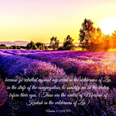 Picture 03 - Numbers 27:14 ASV - because ye rebelled against my word in the - Bible Verse Picture