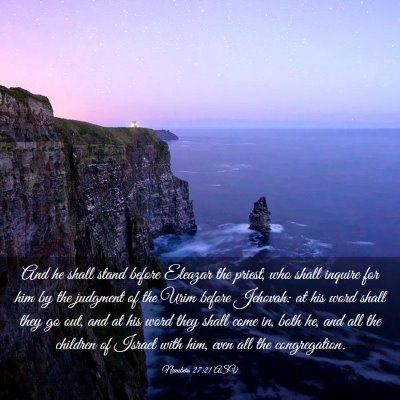 Picture 03 - Numbers 27:21 ASV - And he shall stand before Eleazar the priest, who - Bible Verse Picture