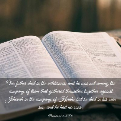 Picture 03 - Numbers 27:3 ASV - Our father died in the wilderness, and he was not - Bible Verse Picture