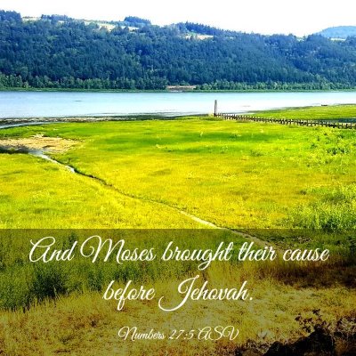 Picture 03 - Numbers 27:5 ASV - And Moses brought their cause before - Bible Verse Picture