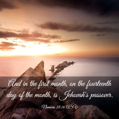Picture 03 - Numbers 28:16 ASV - And in the first month, on the fourteenth day of - Bible Verse Picture