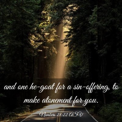 Picture 03 - Numbers 28:22 ASV - and one he-goat for a sin-offering, to make - Bible Verse Picture
