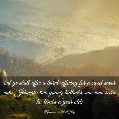Picture 03 - Numbers 28:27 ASV - but ye shall offer a burnt-offering for a sweet - Bible Verse Picture