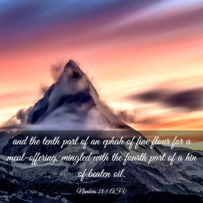 Picture 03 - Numbers 28:5 ASV - and the tenth part of an ephah of fine flour for - Bible Verse Picture