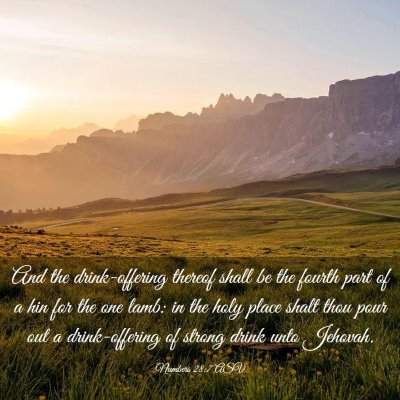 Picture 03 - Numbers 28:7 ASV - And the drink-offering thereof shall be the - Bible Verse Picture