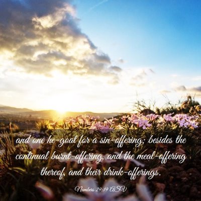Picture 03 - Numbers 29:19 ASV - and one he-goat for a sin-offering; besides the - Bible Verse Picture