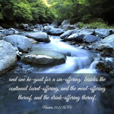 Picture 03 - Numbers 29:22 ASV - and one he-goat for a sin-offering; besides the - Bible Verse Picture