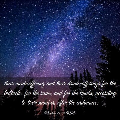Picture 03 - Numbers 29:24 ASV - their meal-offering and their drink-offerings for - Bible Verse Picture