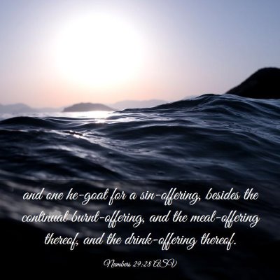 Picture 03 - Numbers 29:28 ASV - and one he-goat for a sin-offering, besides the - Bible Verse Picture
