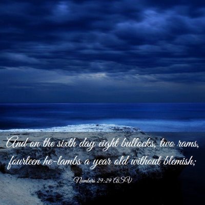 Picture 03 - Numbers 29:29 ASV - And on the sixth day eight bullocks, two rams, - Bible Verse Picture