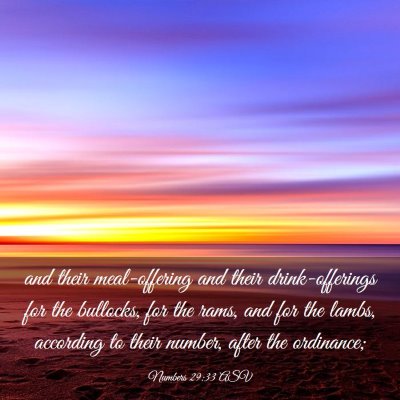 Picture 03 - Numbers 29:33 ASV - and their meal-offering and their drink-offerings - Bible Verse Picture