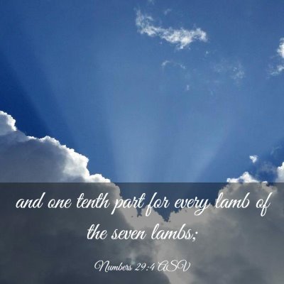 Picture 03 - Numbers 29:4 ASV - and one tenth part for every lamb of the seven - Bible Verse Picture
