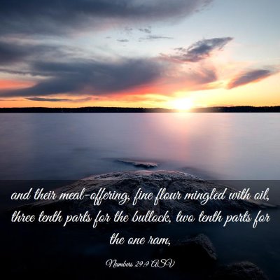 Picture 03 - Numbers 29:9 ASV - and their meal-offering, fine flour mingled with - Bible Verse Picture
