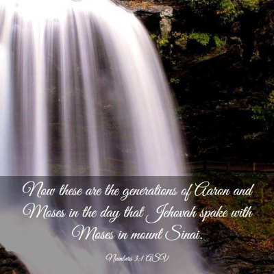 Picture 03 - Numbers 3:1 ASV - Now these are the generations of Aaron and Moses - Bible Verse Picture