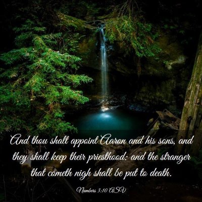 Picture 03 - Numbers 3:10 ASV - And thou shalt appoint Aaron and his sons, and - Bible Verse Picture