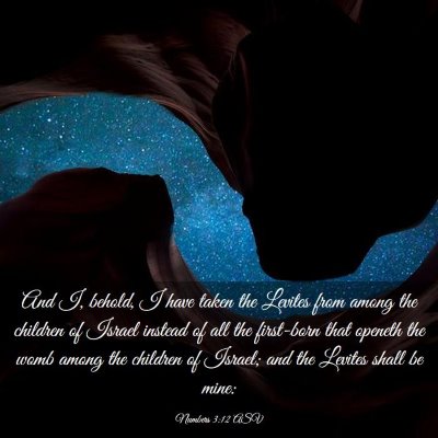 Picture 03 - Numbers 3:12 ASV - And I, behold, I have taken the Levites from - Bible Verse Picture