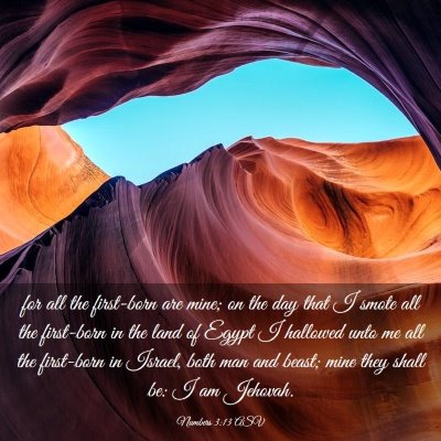 Picture 03 - Numbers 3:13 ASV - for all the first-born are mine; on the day that - Bible Verse Picture