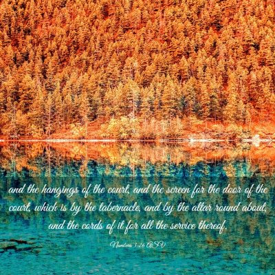 Picture 03 - Numbers 3:26 ASV - and the hangings of the court, and the screen for - Bible Verse Picture