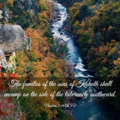 Picture 03 - Numbers 3:29 ASV - The families of the sons of Kohath shall encamp - Bible Verse Picture