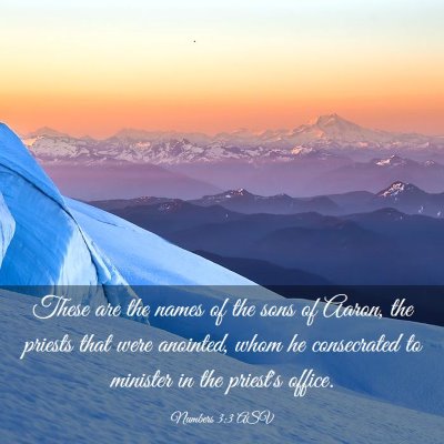 Picture 03 - Numbers 3:3 ASV - These are the names of the sons of Aaron, the - Bible Verse Picture