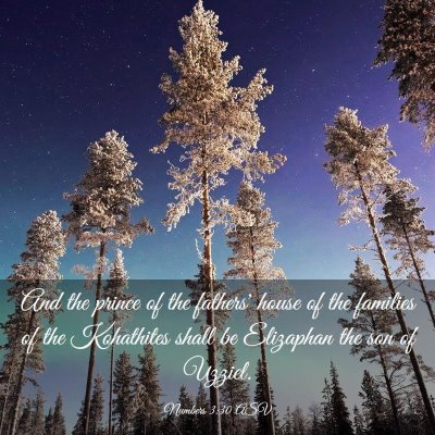 Picture 03 - Numbers 3:30 ASV - And the prince of the fathers' house of the - Bible Verse Picture