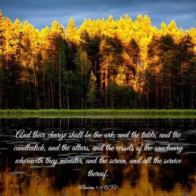 Picture 03 - Numbers 3:31 ASV - And their charge shall be the ark, and the table, - Bible Verse Picture