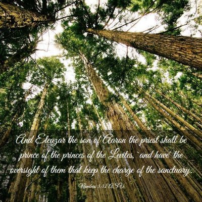 Picture 03 - Numbers 3:32 ASV - And Eleazar the son of Aaron the priest shall be - Bible Verse Picture