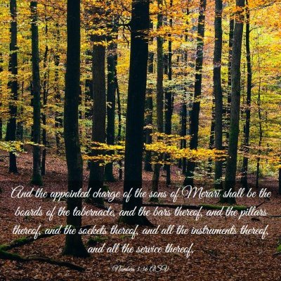 Picture 03 - Numbers 3:36 ASV - And the appointed charge of the sons of Merari - Bible Verse Picture