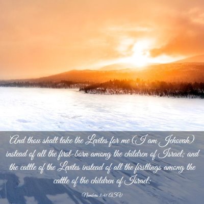 Picture 03 - Numbers 3:41 ASV - And thou shalt take the Levites for me (I am - Bible Verse Picture