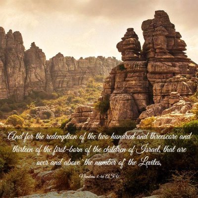 Picture 03 - Numbers 3:46 ASV - And for the redemption of the two hundred and - Bible Verse Picture